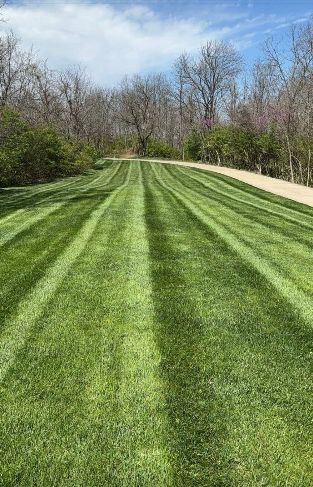 About Dino's Lawn & Garden Service